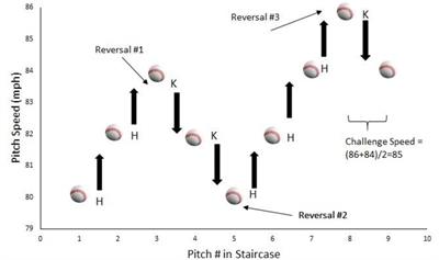 Transfer of Training from Virtual to Real Baseball Batting